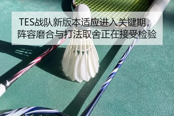 TES战队新版本适应进入关键期，阵容磨合与打法取舍正在接受检验